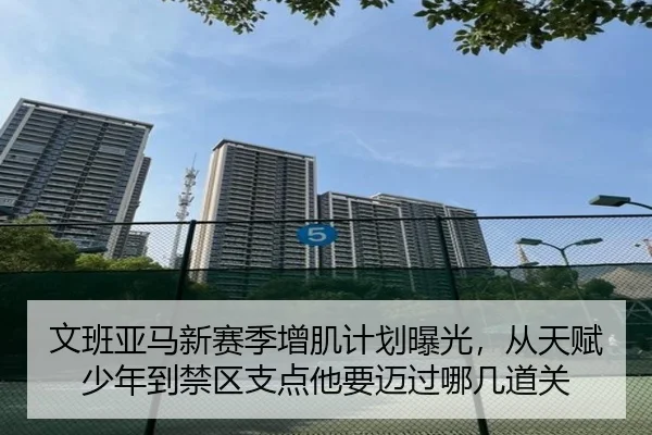 文班亚马新赛季增肌计划曝光，从天赋少年到禁区支点他要迈过哪几道关